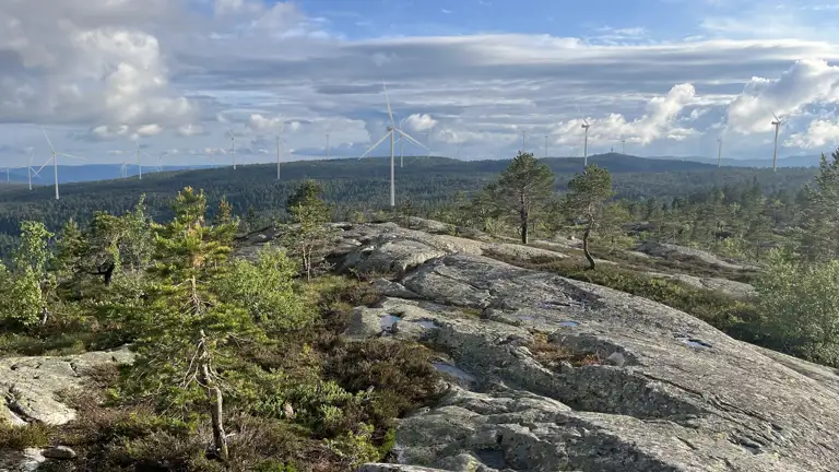 image for Slik kan det se ut