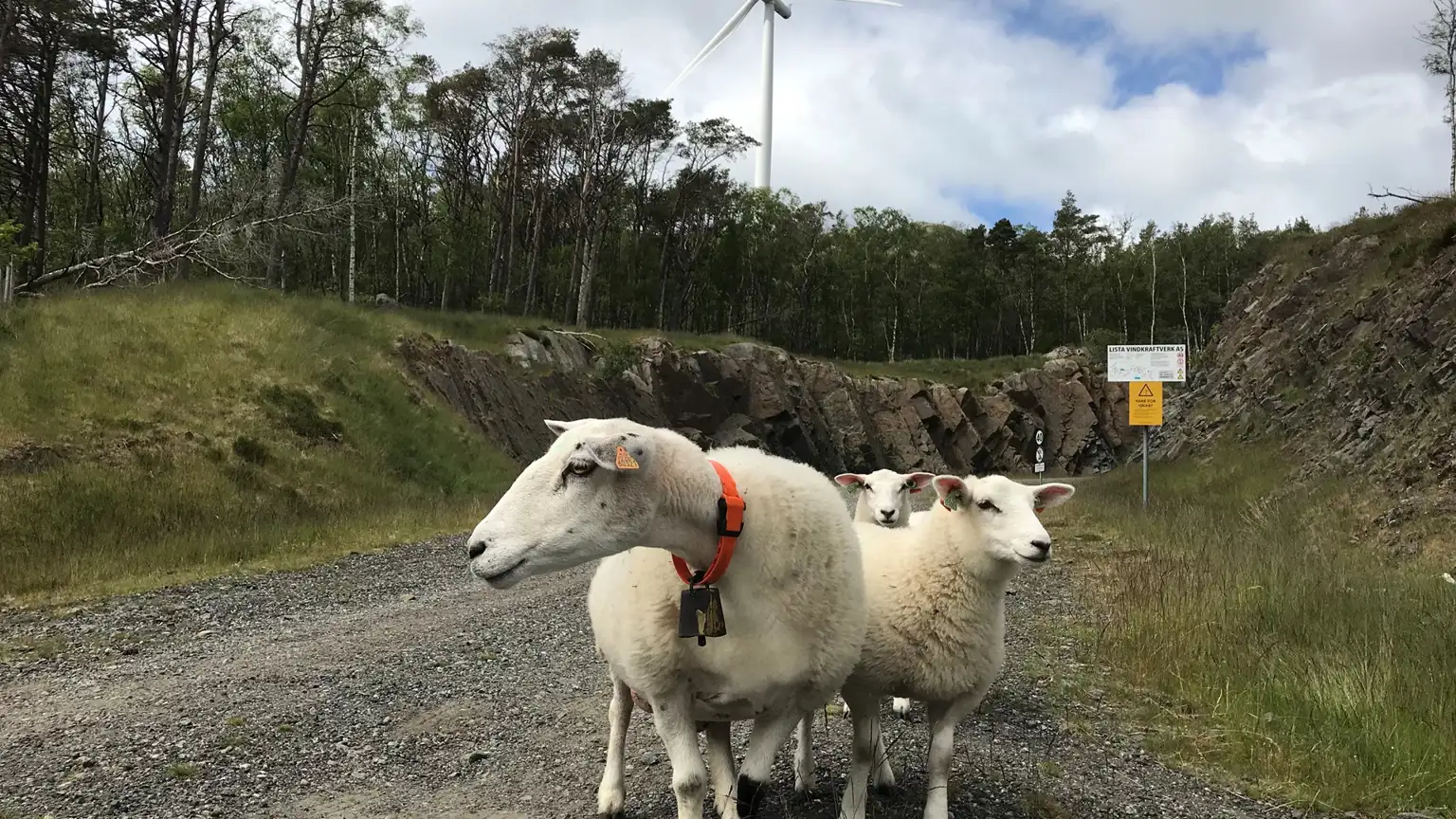 Lista Vindpark Sauer